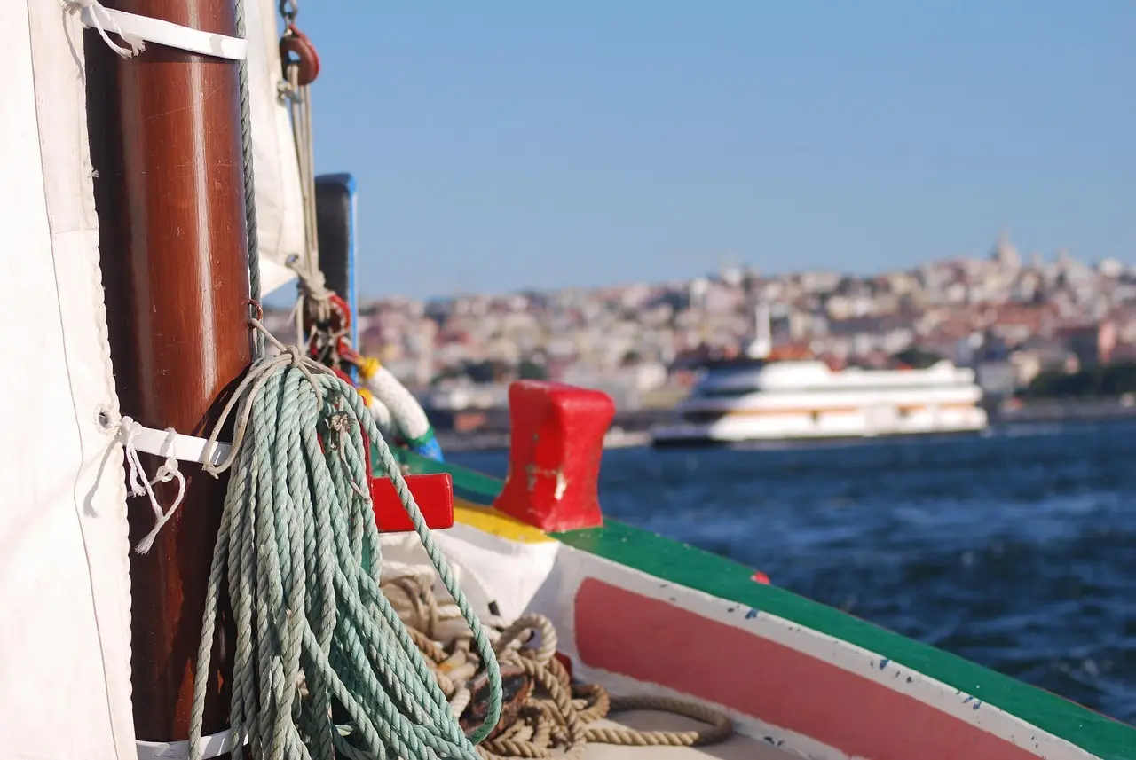 Krydsord Løsning til Ping