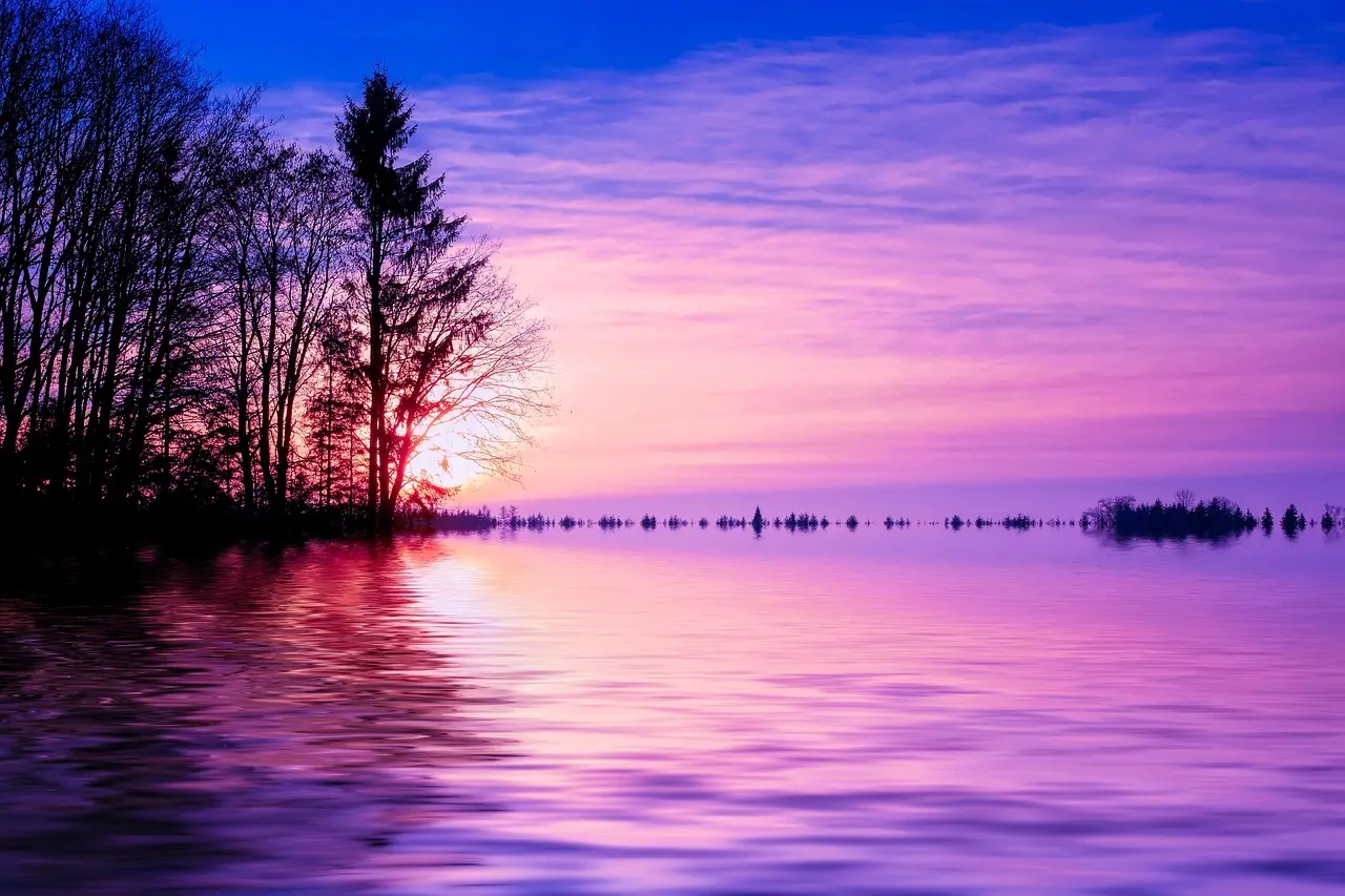 31 32 67 31 – Hvem ringer?