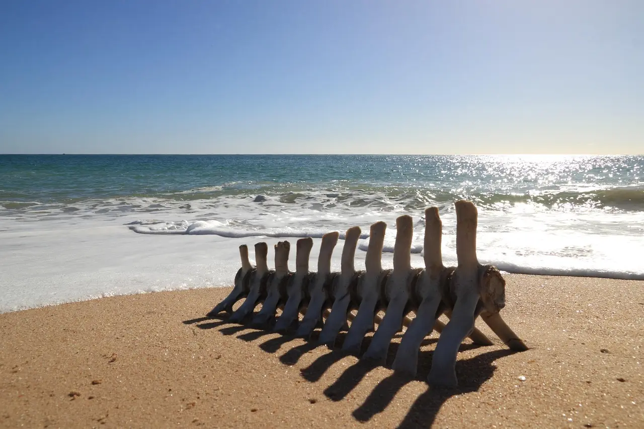 Hvordan er vejret i Faro i uge 7?