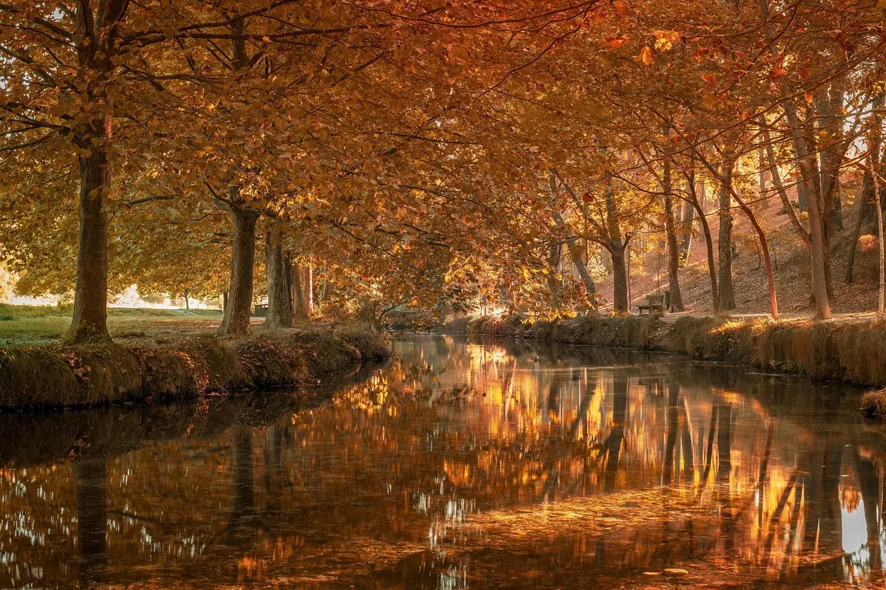 Lutter Krydsord Hjælp