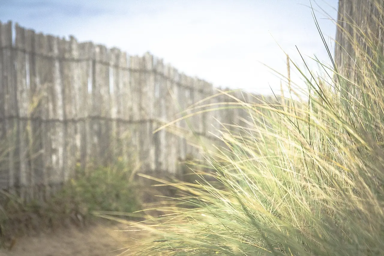 Medvirkende i The Longest Yard